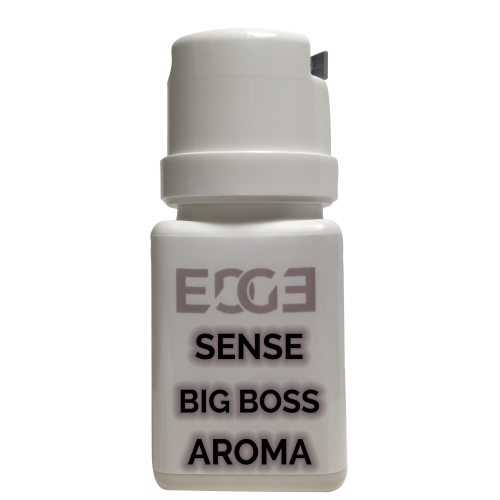 Sense Control, Big Boss