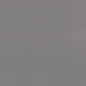 Serviettes, 24x24cm - 2 plis - 1/4 - gris granit